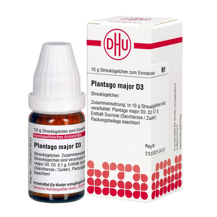 DHU Plantago major D 3 Streukügelchen, 10 g Globuli