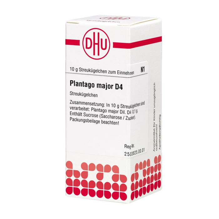 Plantago major D4 DHU Globuli, 10 g Globuli