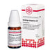 DHU Solidago virgaurea D12 Streukügelchen, 10 g Globuli