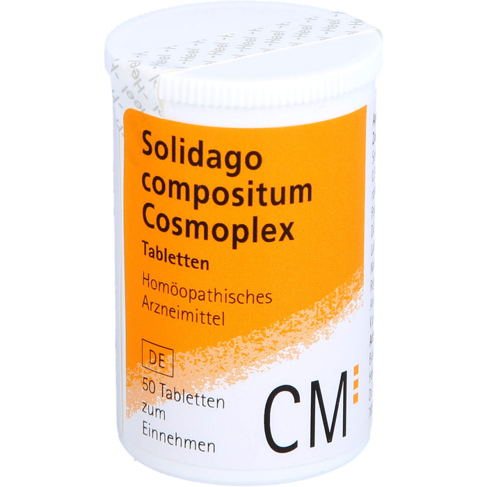 Solidago compositum Cosmoplex Tbl., 50 St TAB