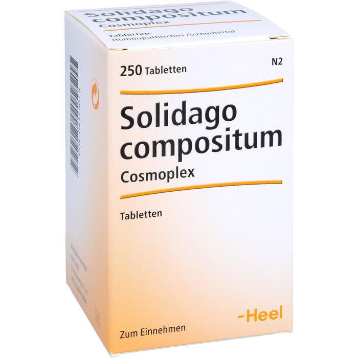 Solidago compositum Cosmoplex Tbl., 250 St TAB