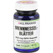 GALL PHARMA Brennnessel-Blätter 250 mg GPH Kapseln, 50 St. Kapseln