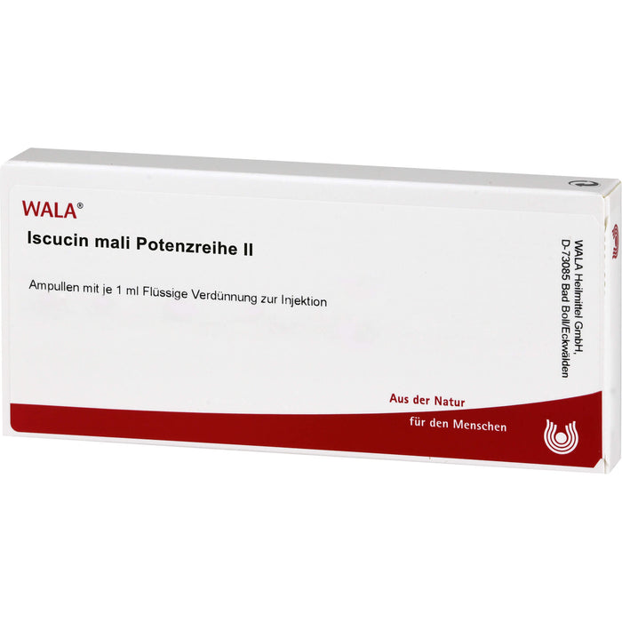 Iscucin  Mali Potenzreihe II, 10 St. Ampullen
