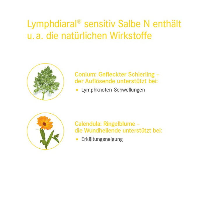 Lymphdiaral sensitiv Salbe N, 100 g Salbe