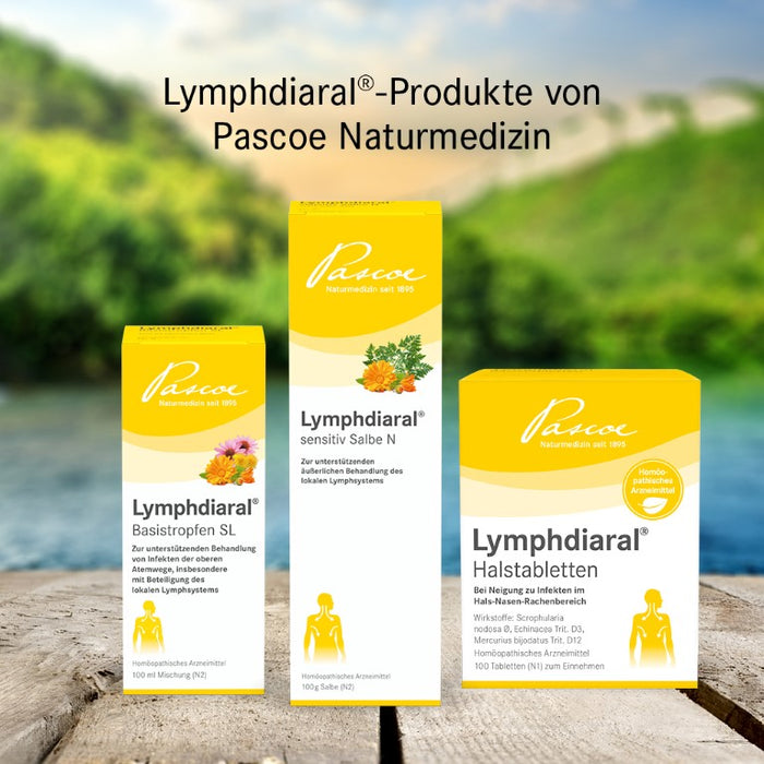Lymphdiaral sensitiv Salbe N, 100 g Salbe