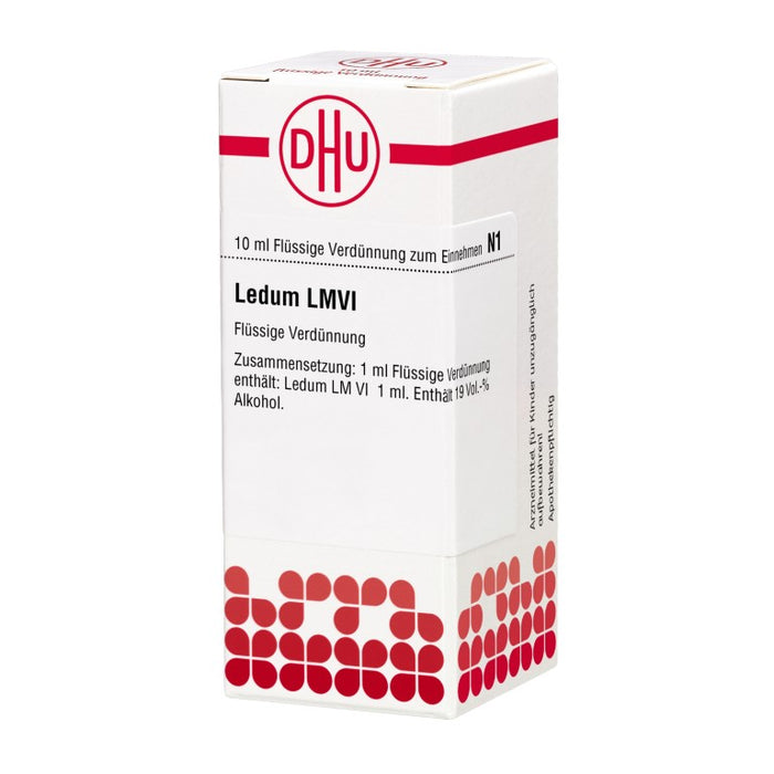 DHU Ledum LM VI Dilution, 10 ml Lösung