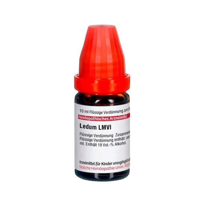 DHU Ledum LM VI Dilution, 10 ml Lösung