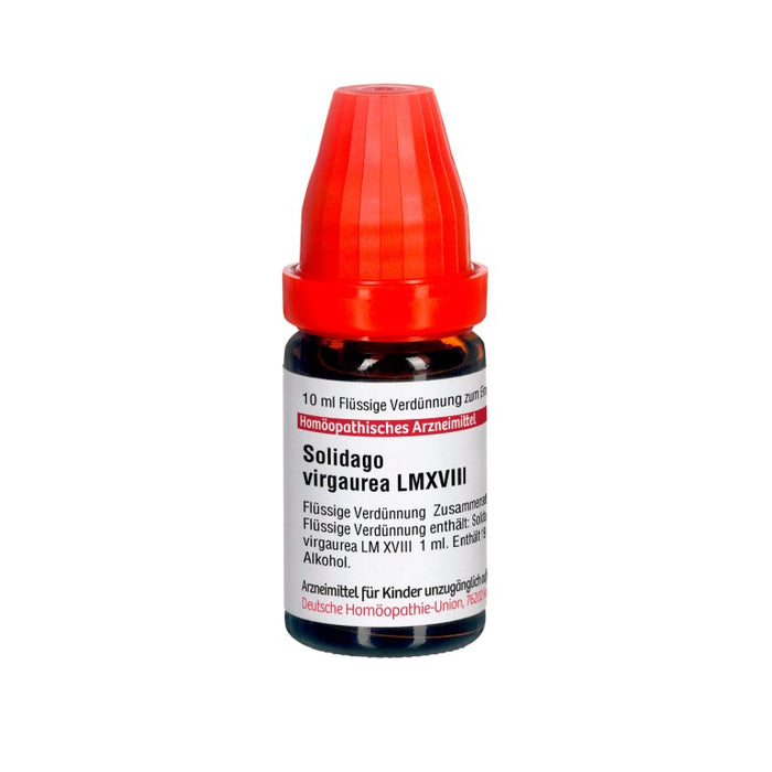 Solidago virgaurea LM XVIII DHU Dilution, 10 ml Lösung