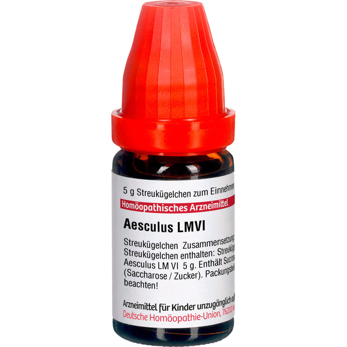 Aesculus LM VI DHU Globuli, 5 g Globuli