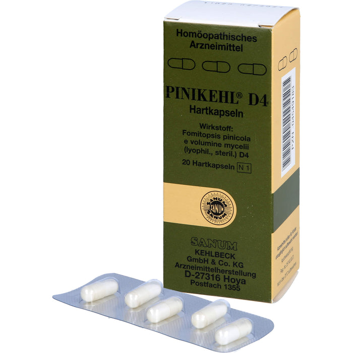 SANUM-KEHLBECK Pinikehl D4 Hartkapseln, 20 St. Kapseln