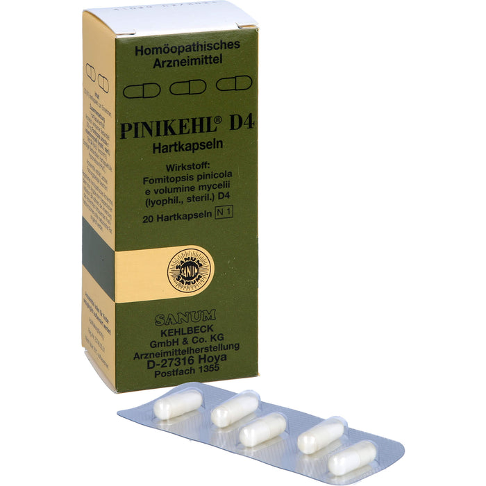 SANUM-KEHLBECK Pinikehl D4 Hartkapseln, 20 St. Kapseln
