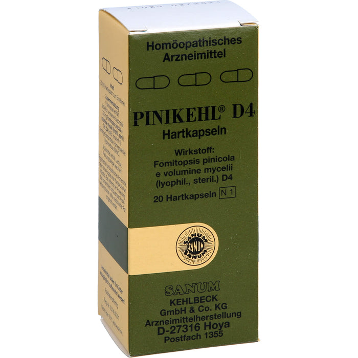 SANUM-KEHLBECK Pinikehl D4 Hartkapseln, 20 St. Kapseln