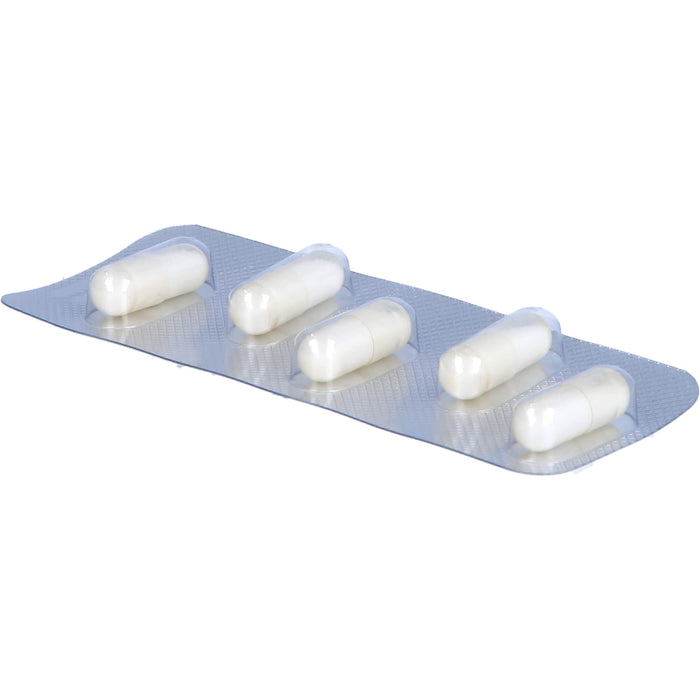 SANUM-KEHLBECK Pinikehl D4 Hartkapseln, 20 St. Kapseln