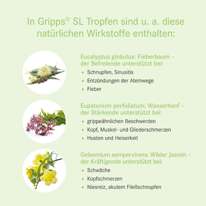 Gripps SL Tropfen bei Erkältungskrankheiten, 50 ml Lösung