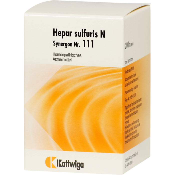 Synergon Komplex 111 Hepar sulfuris N Tabletten, 200 St TAB