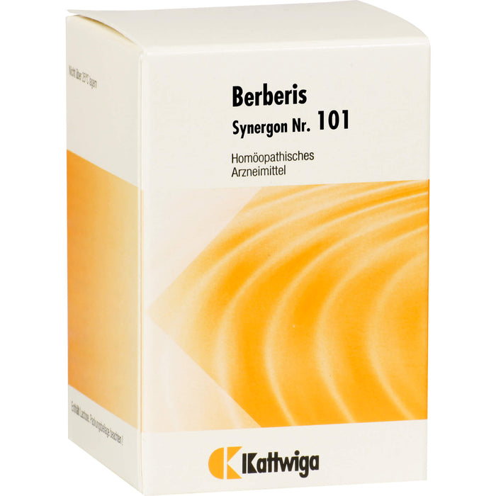 Synergon Komplex 101 Berberis Tabletten, 200 St. Tabletten