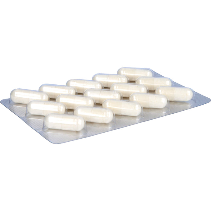 Vitazell-Arthro, 60 St KAP