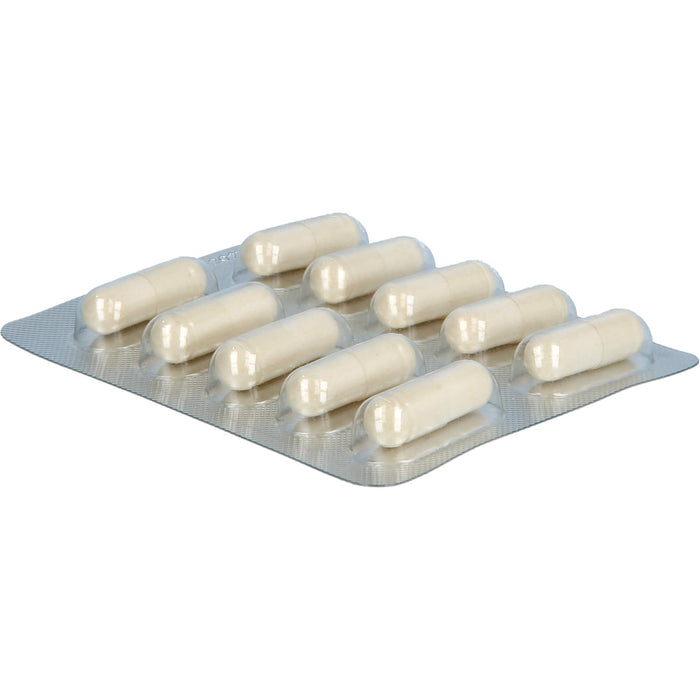 Unizink Immun Plus Kapseln für ein gesundes Immunsystem, 10 St. Kapseln