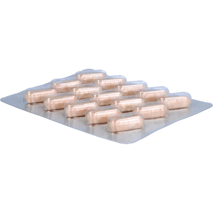 MASQUELIERs Anthogenol OPC Kapseln zur Unterstützung der Venen, Augen und Haut, 30 St. Kapseln