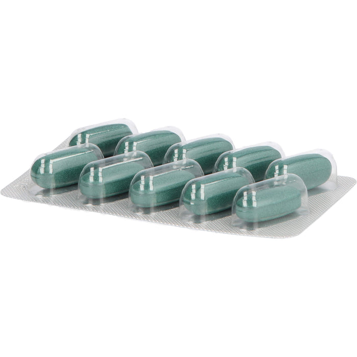 Rheuma-Hek® forte 600 mg, Filmtabletten, 100 St FTA