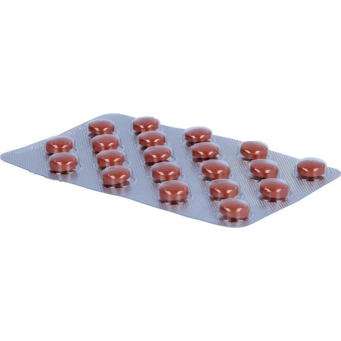 Ginkobil ratiopharm 80 mg Filmtabletten bei geistigen Leistungsstörungen und Durchblutungsstörungen, 60 St. Tabletten