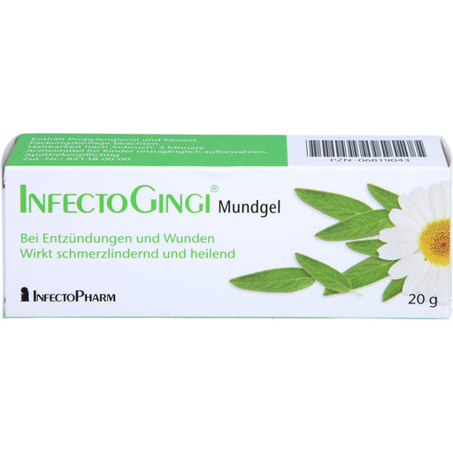 INFECTOGINGI Mundgel, 20 g GEL