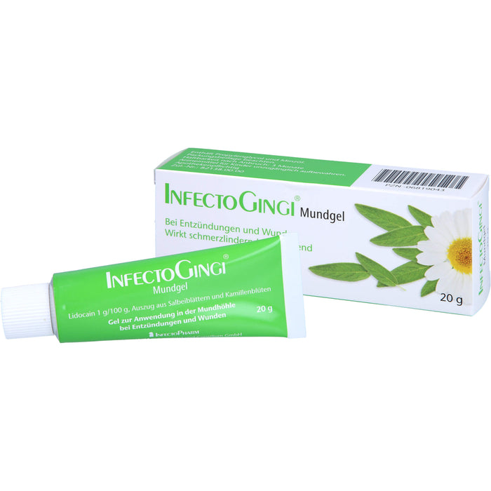 INFECTOGINGI Mundgel, 20 g GEL