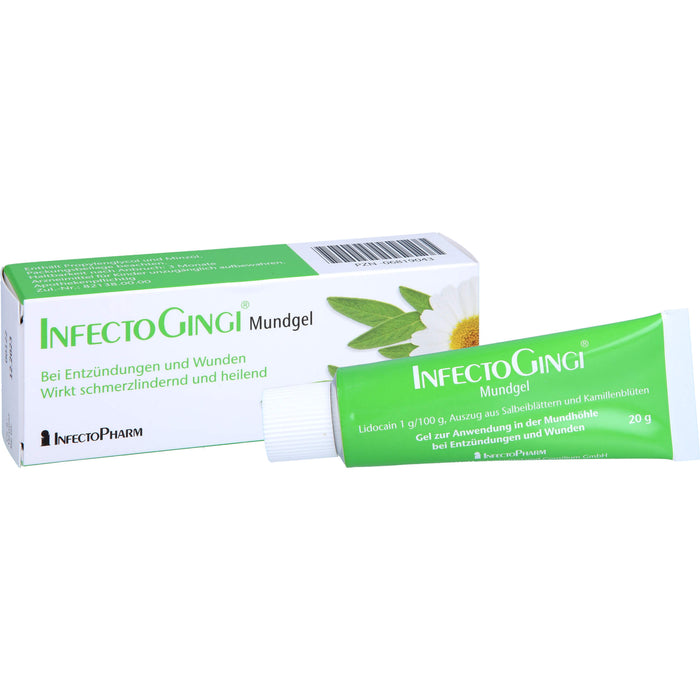 INFECTOGINGI Mundgel, 20 g GEL