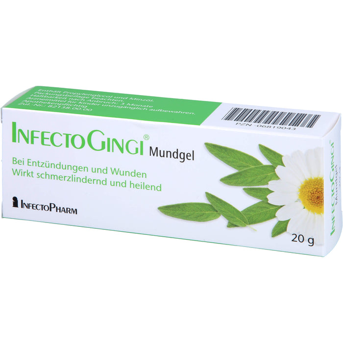 INFECTOGINGI Mundgel, 20 g GEL