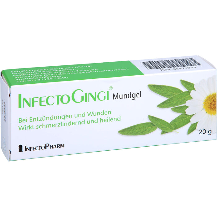 InfectoGingi Mundgel 3fach wirksam bei Mundverletzungen, 20 g Gel