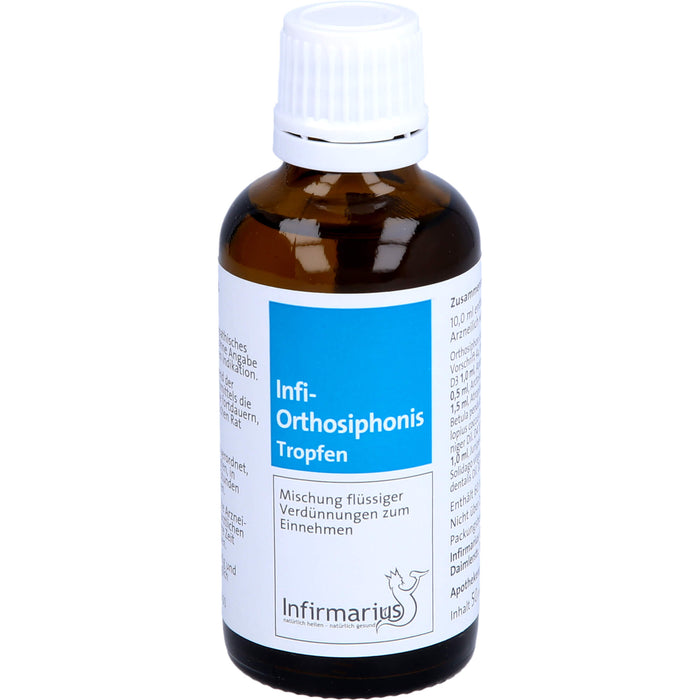 Infi Orthosiphonis Tropfen, 50 ml Lösung