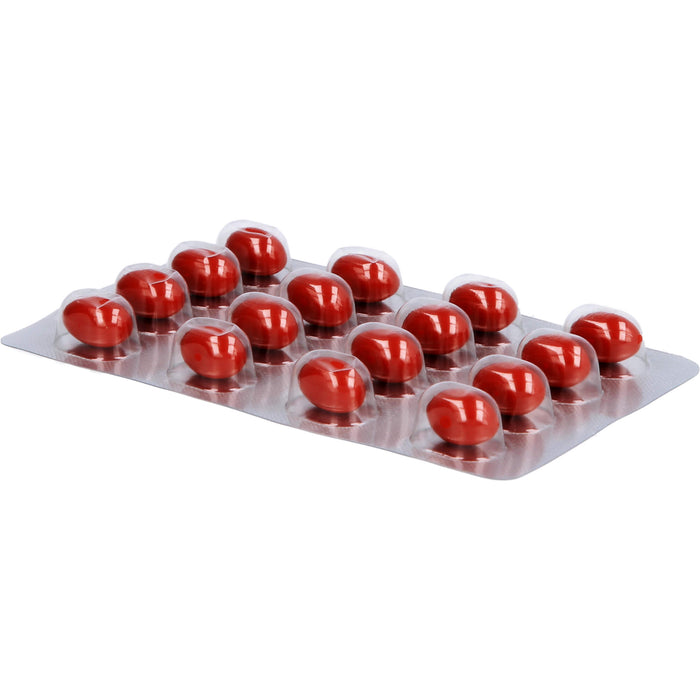 Abtei Schwarzkümmelöl Plus Kapseln für den Cholesterinspiegel, 48 St. Kapseln