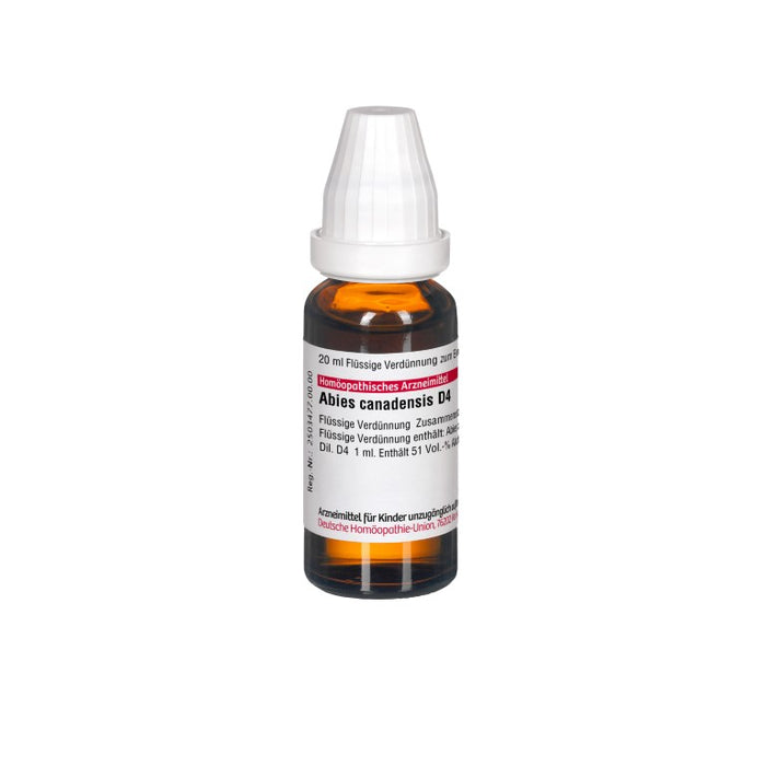 Abies canadensis D4 DHU Dilution, 20 ml Lösung
