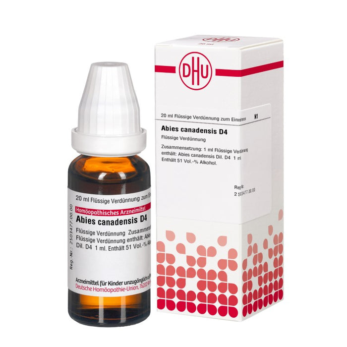 Abies canadensis D4 DHU Dilution, 20 ml Lösung