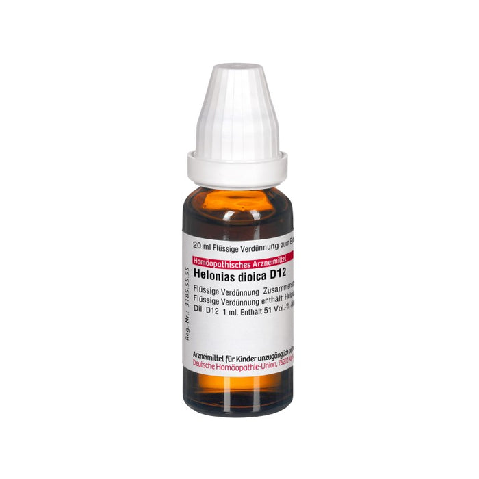 Helonias dioica D12 DHU Dilution, 20 ml Lösung