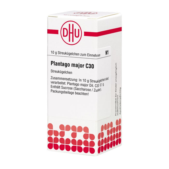 Plantago major C30 DHU Globuli, 10 g Globuli