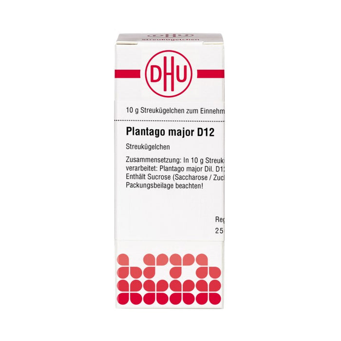 Plantago major D12 DHU Globuli, 10 g Globuli