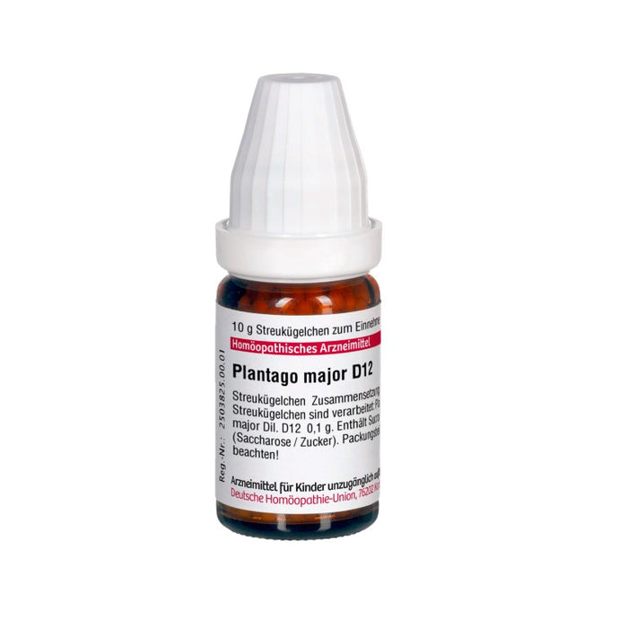 Plantago major D12 DHU Globuli, 10 g Globuli