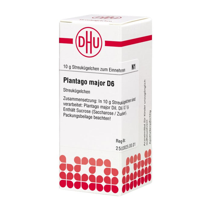 Plantago major D6 DHU Globuli, 10 g Globuli