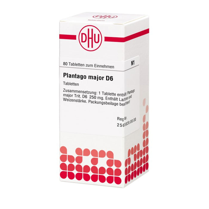 Plantago major D6 DHU Tabletten, 80 St. Tabletten