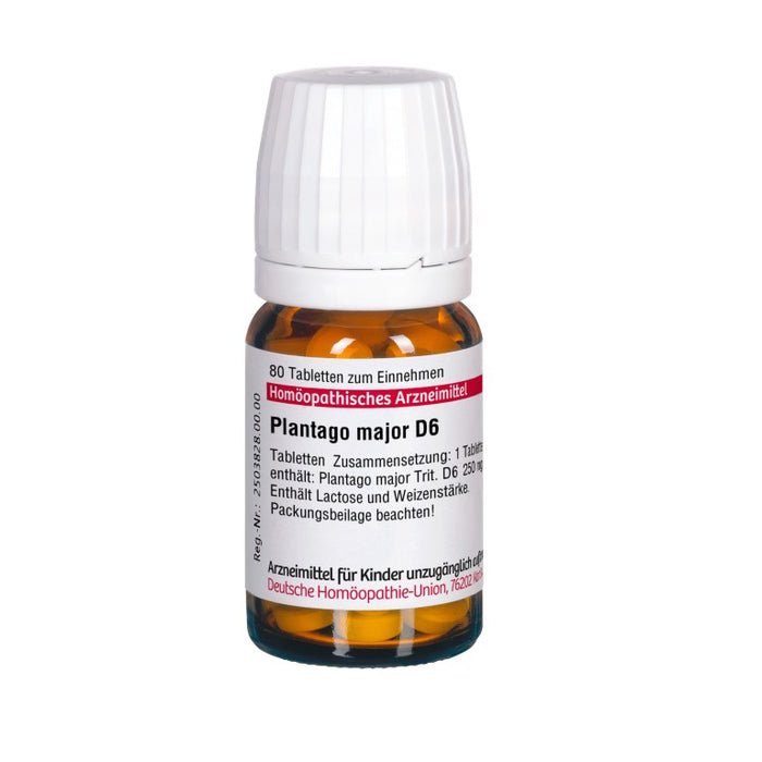 Plantago major D6 DHU Tabletten, 80 St. Tabletten