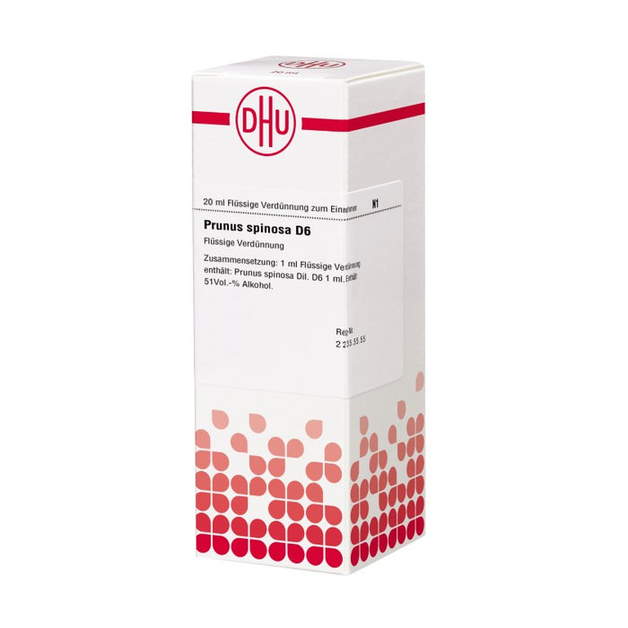 Prunus spinosa D6 DHU Dilution, 20 ml Lösung