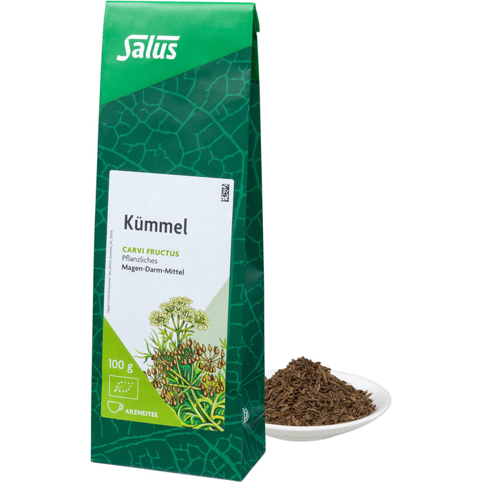 Kümmel Arzneitee Carvi fructus bio Salus, 100 g TEE