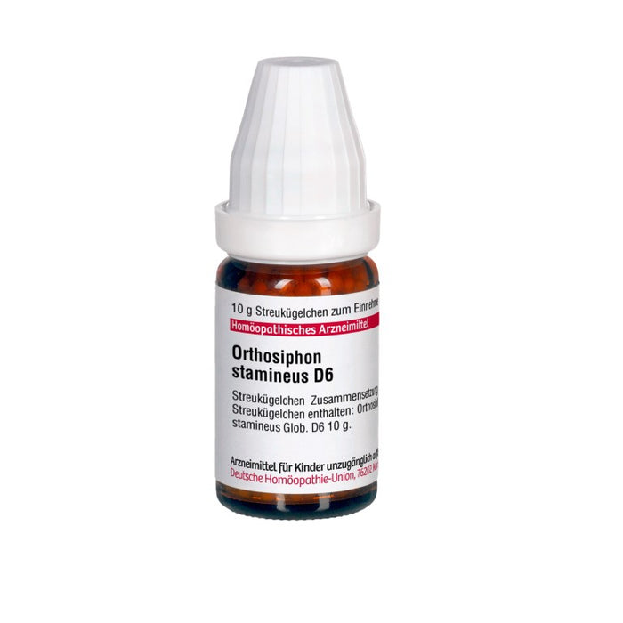 Orthosiphon stamineus D6 DHU Globuli, 10 g Globuli