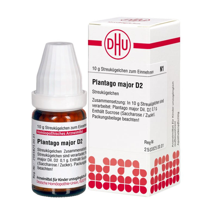 Plantago major D2 DHU Globuli, 10 g Globuli