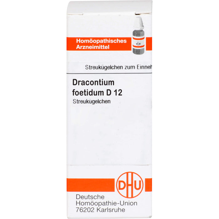 Dracontium foetidum D12 DHU Globuli, 10 g Globuli
