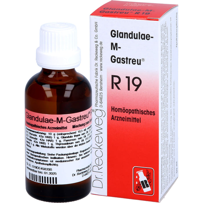Glandulae-M-Gastreu R19 Tropfen, 50 ml MIS