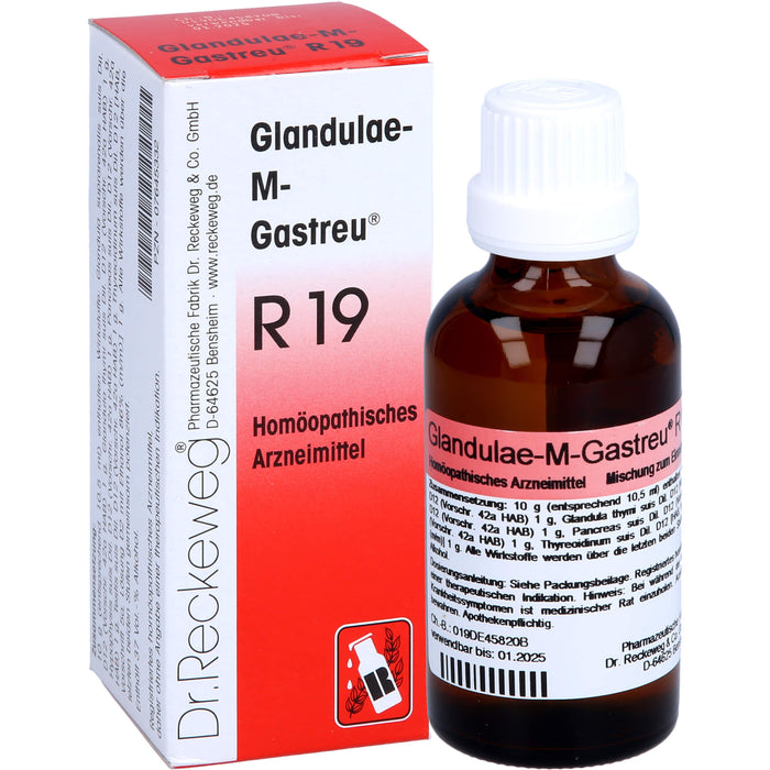 Glandulae-M-Gastreu R19 Tropfen, 50 ml Lösung