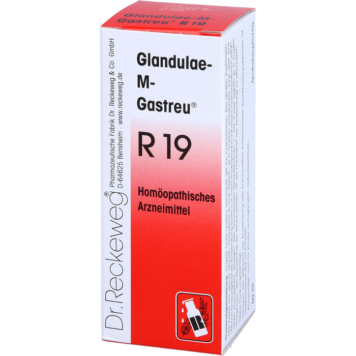 Glandulae-M-Gastreu R19 Tropfen, 50 ml Lösung