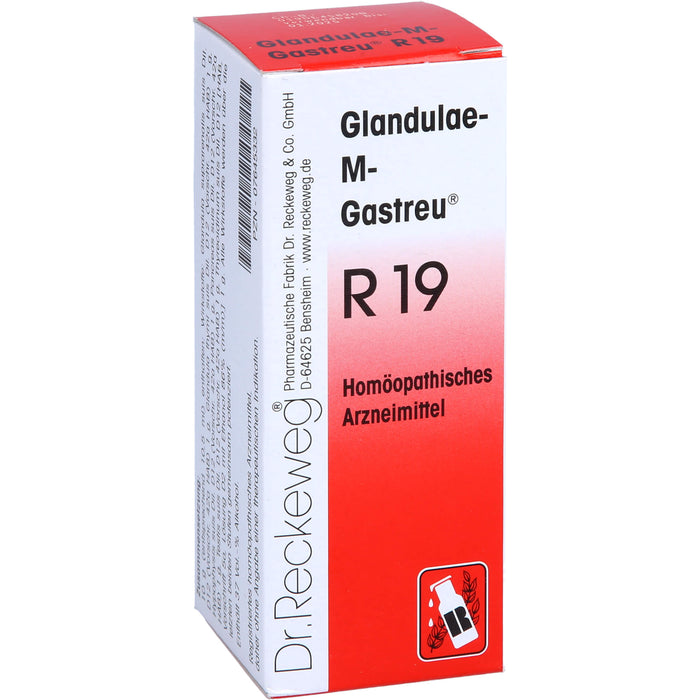 Glandulae-M-Gastreu R19 Tropfen, 50 ml MIS